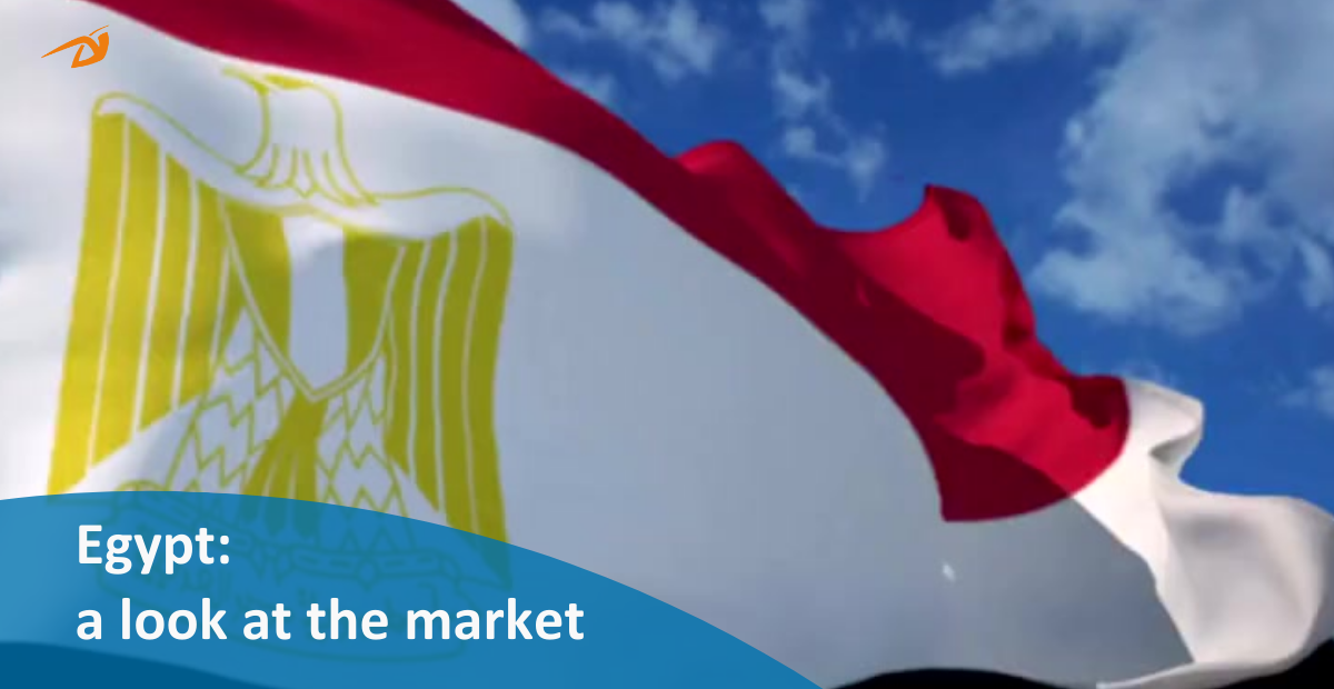 Egypt: a look at the market