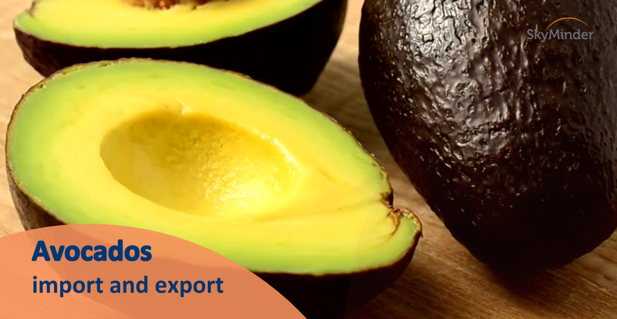 Avocados: import and export